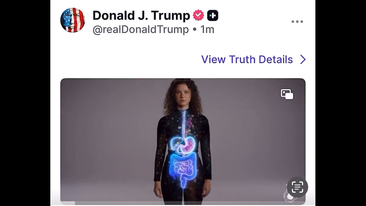 Bringing ATTENTION to Endocannabinoid System~ Assists Homeostasis, Internal Balance, Appetite, Mood, Memory, Sleep, Immune Responses, Pain Perception, CBD OIL, 9/28/2025