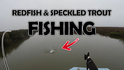 Redfish Fishing and Speckled Trout Fishing