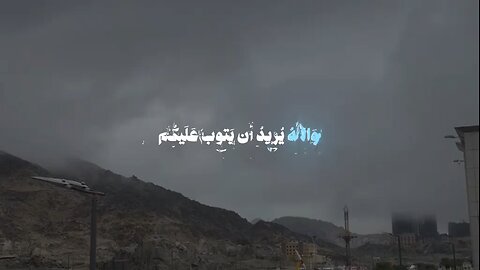 #القرآن_الكريم