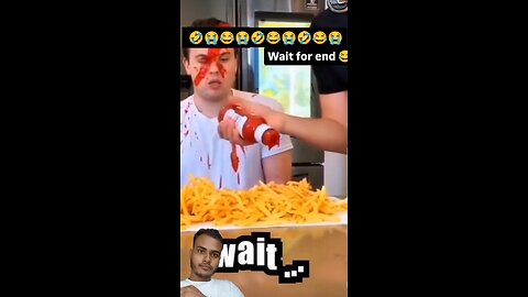 funny videos