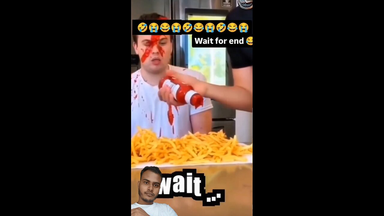 funny videos