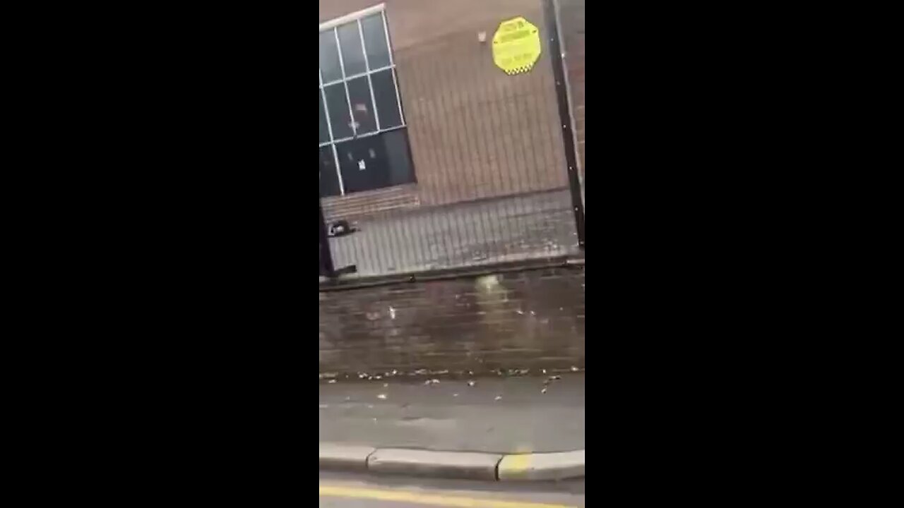 🚨 Moment police shot the suspect following reports of a mass stabbing outside