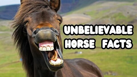 Jaw-Dropping Facts About Horses You Didn't Know!