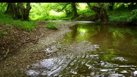 Aliran air sungai yang segar