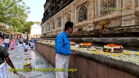 Mahabodhi Temple Bodh Gaya Complete Video Guide