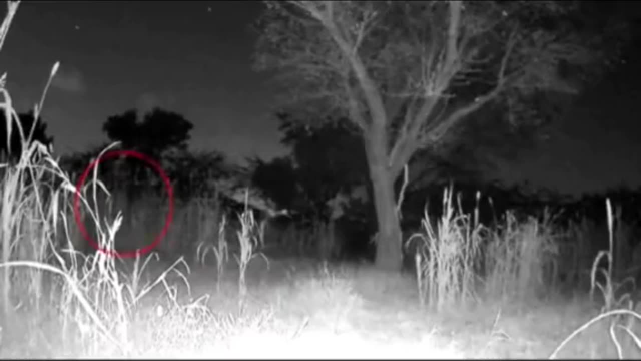 😱👻 Skinwalker or Rake? Terrifying Encounter | TheHauntingHour