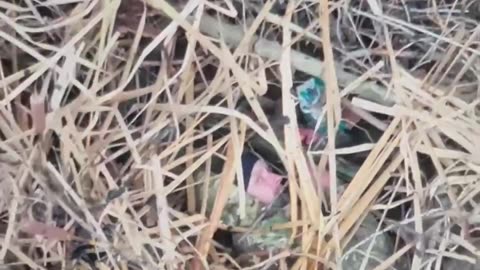 I Think We Both Know Whats Coming Next