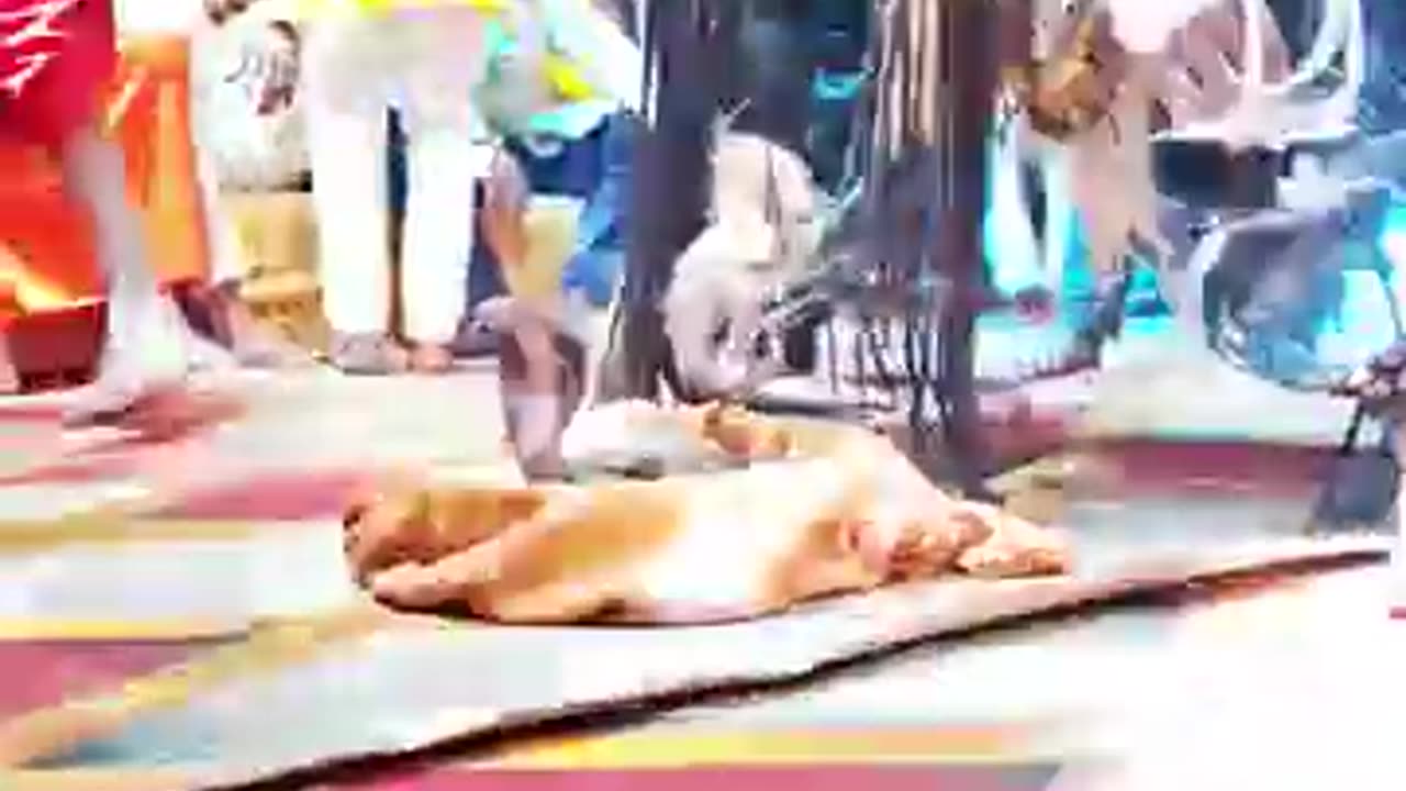 Hara Hara Shambhu