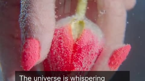 Daily Horoscope | Pisces 🌟