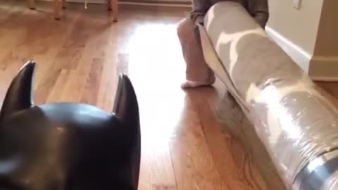 Fit & Strong 💪 Girls Workout Ultimate Fitness #Shorts