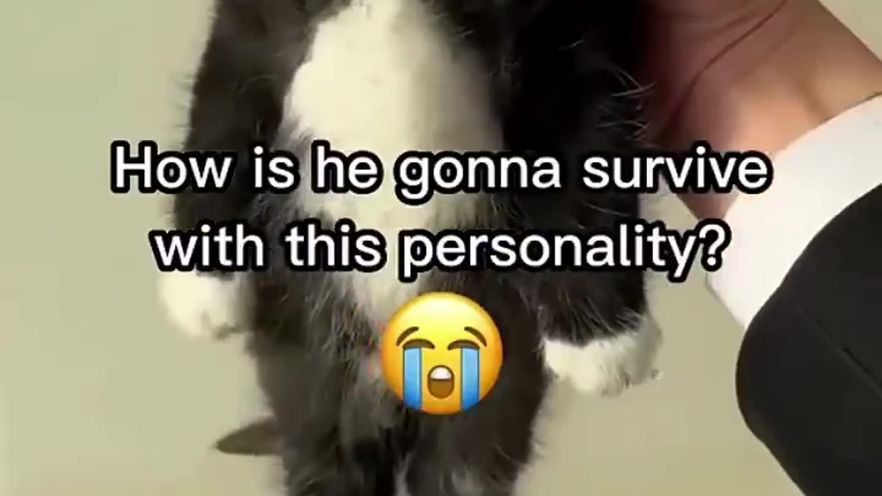 zero survival skills