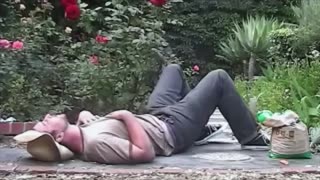 🤯🌿 This Person's Salvia Experiment is MIND-BOGGLING! | FunFM
