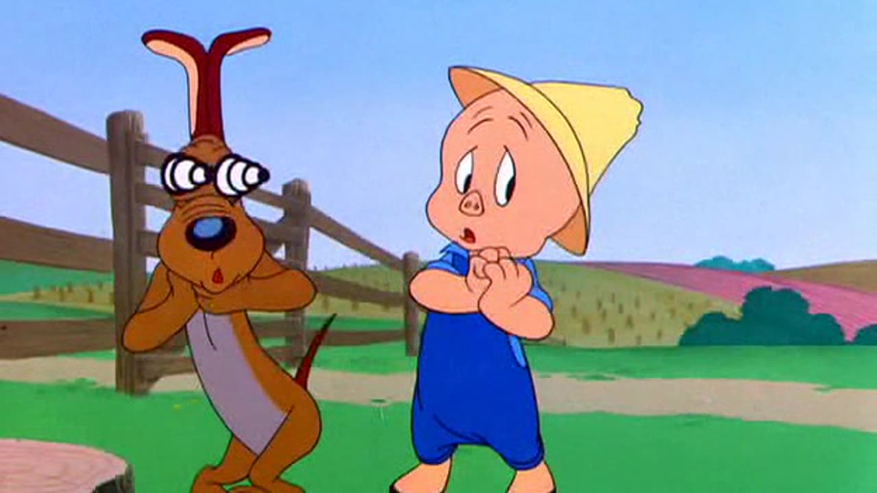 Looney Tunes Golden Collection S1949E21 Often an Orphan