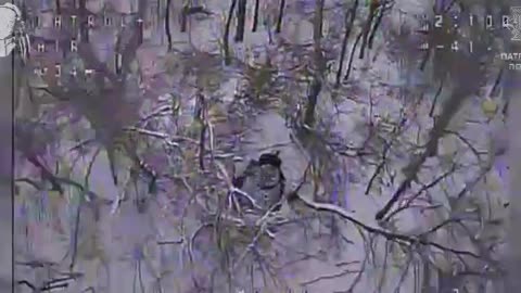 Ukrainian Drones Locate and Destroy Russian Mortar Crew