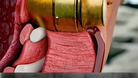 bullet safety trending video popular video viral video 📸📸