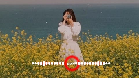 Mi Vida - Romantic song