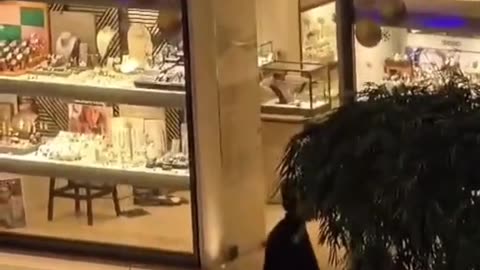 Africano assalta ourivesaria no centro comercial Vasco da Gama. ACORDA PORTUGAL