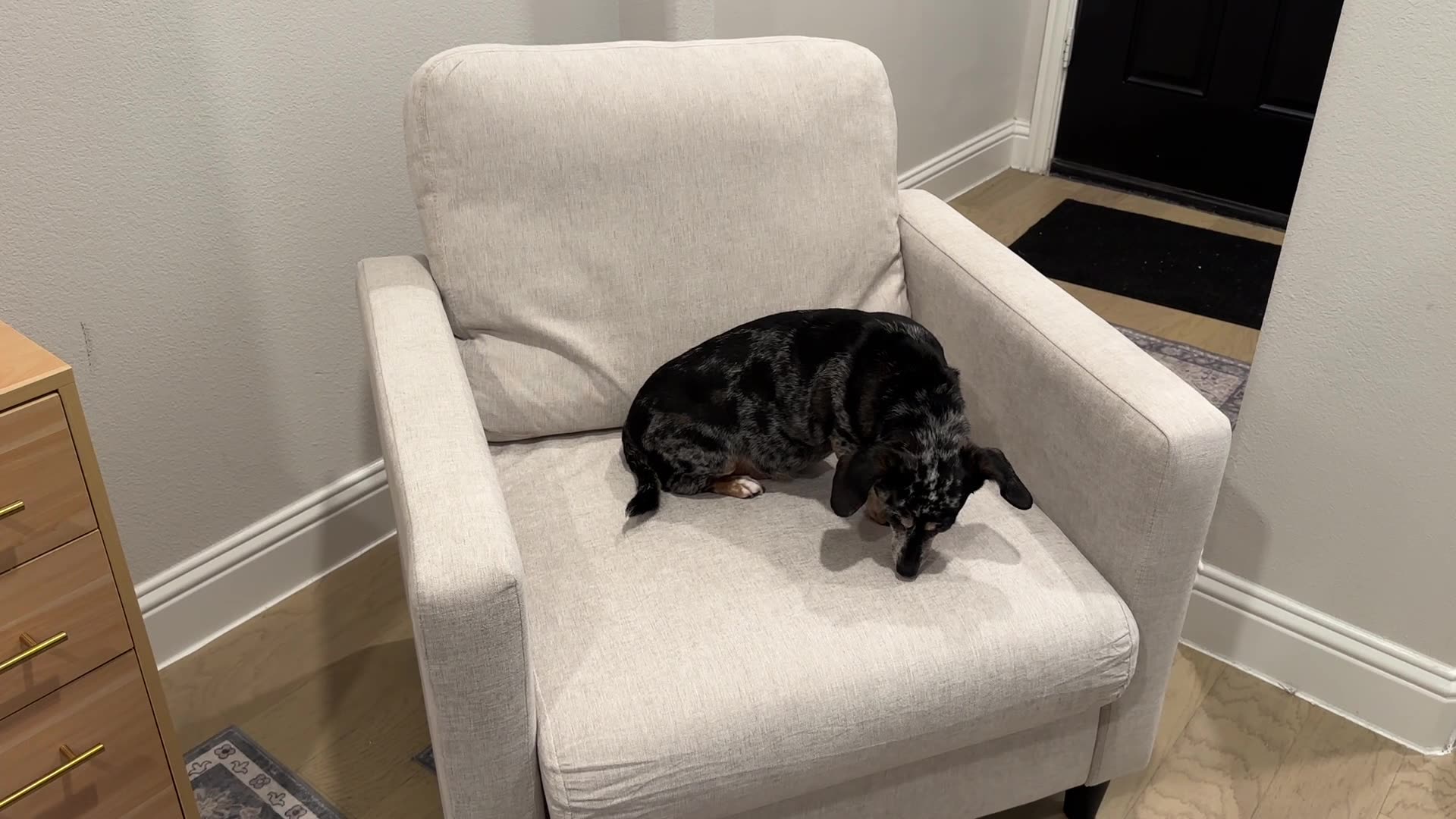 Overview Garvee 33.9 Sofa Accent Chair