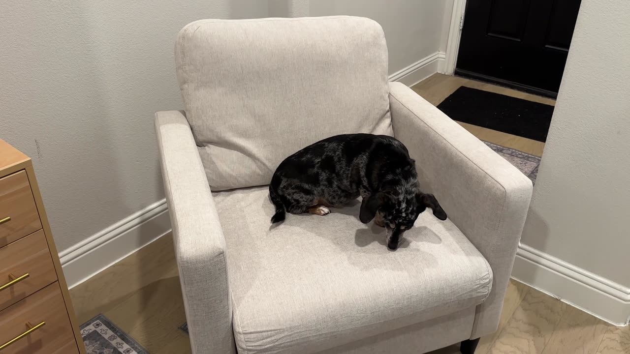 Overview Garvee 33.9 Sofa Accent Chair