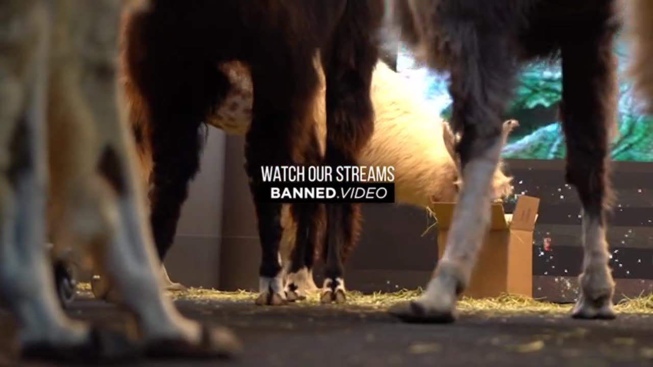 IW Archives 2019 Oct 04