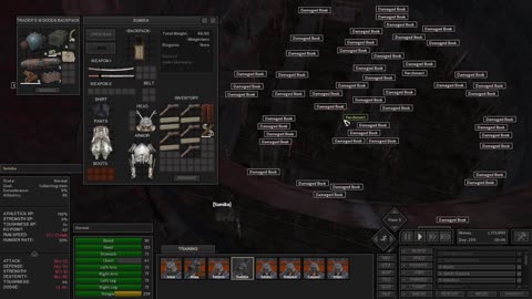 Shoji leads on his journey. (SJ-29)