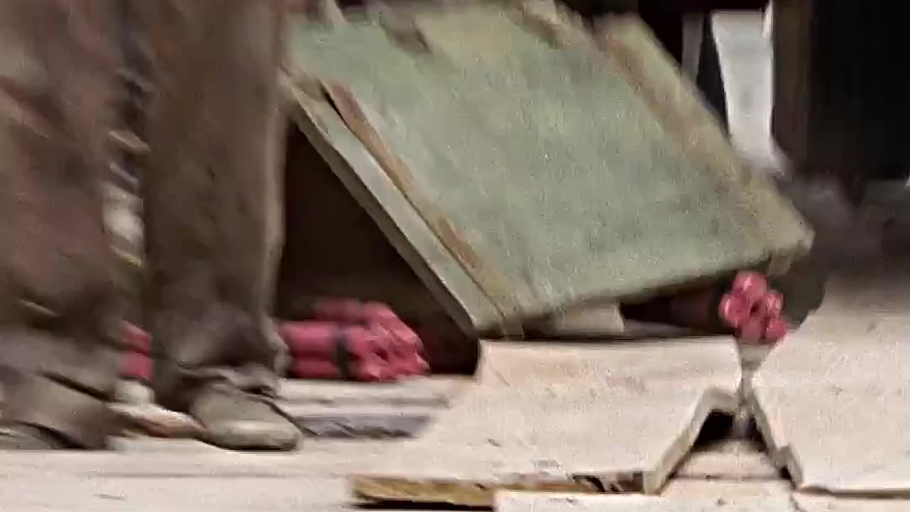 The Neighbor