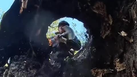 How i built the jungle hideout #camping #survival #Outdoors #bushcraft #travel
