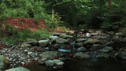 Along The River, Beautiful scenery