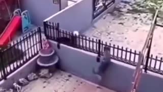 🤣🤣🤣