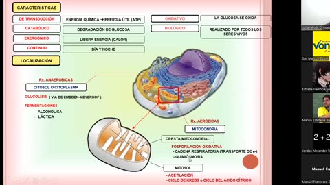 VONEX SEMIANUAL 2023 | Semana 09 | Biología S1