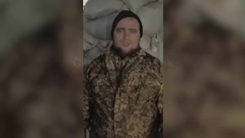 Captive boars from the city of Gulyaipole