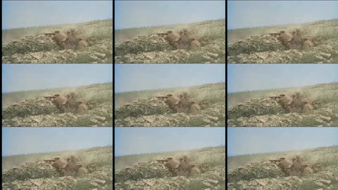 63 - Trench Echoes - WW1 Inspired Trench Music - Colourized Footage