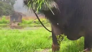 Woe Day 102. I am in the ark. Waiting for GOD to open the Door for a spring/summer Pentecost rapture