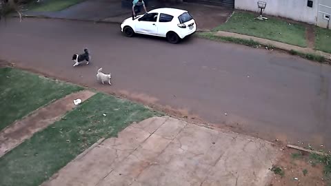 Delivery Man Makes a Great Escape