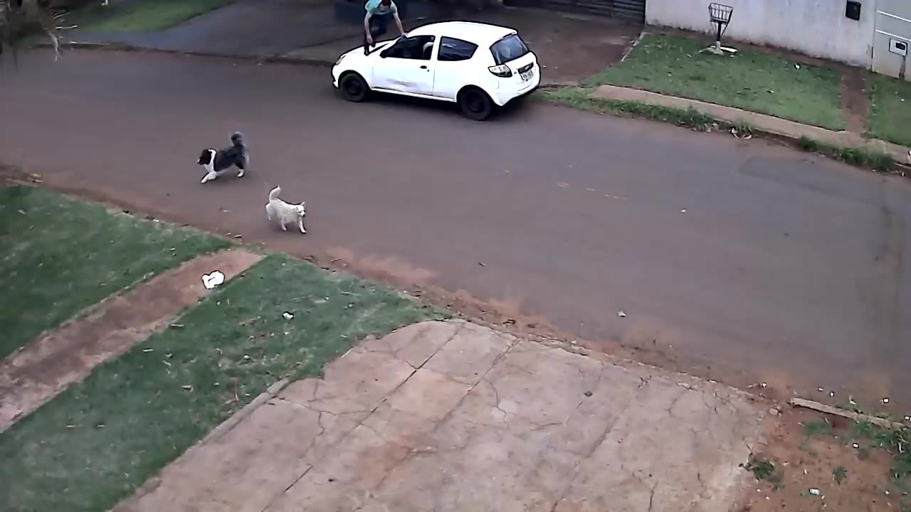 Delivery Man Makes a Great Escape