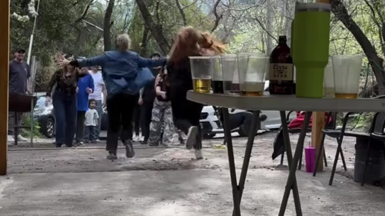 Funny video