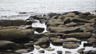 Creature Spitting Vol 4