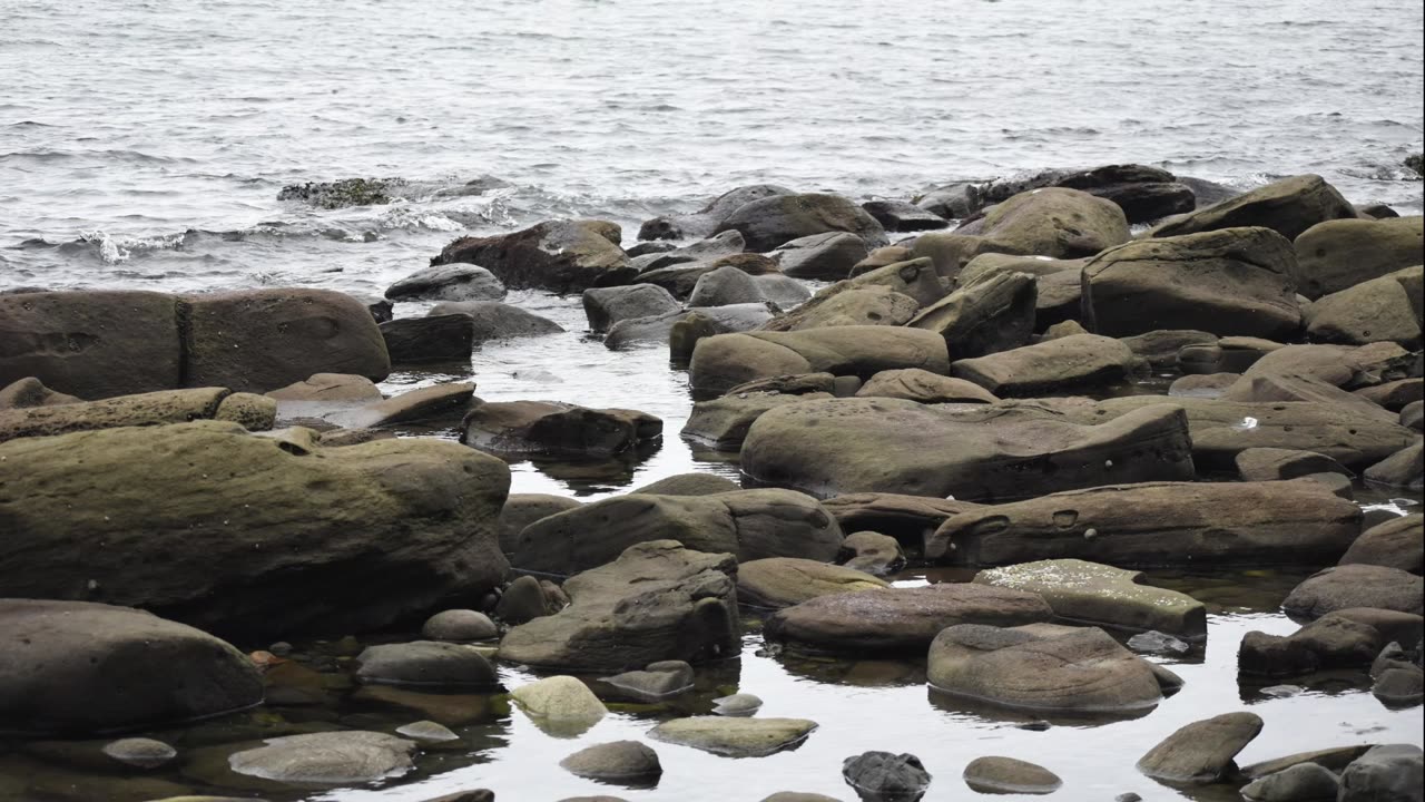 Creature Spitting Vol 4