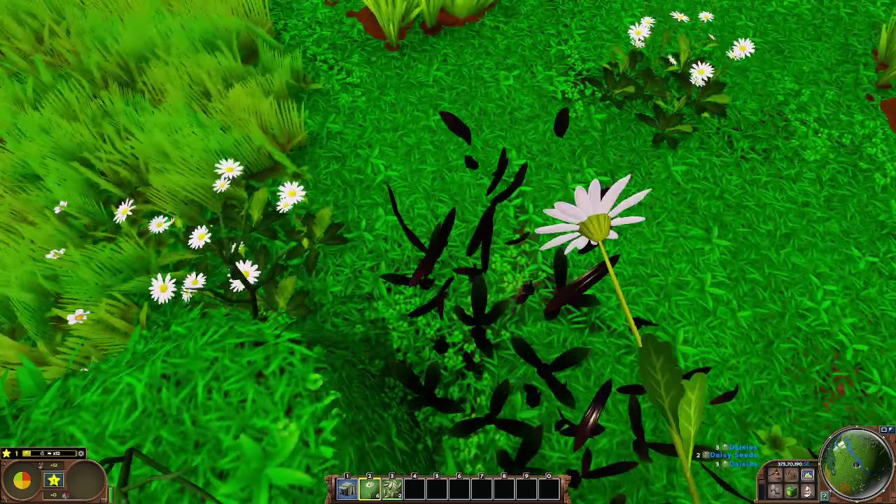 Calm ECO Stream for Those Who Want a Calm Friday Morning :D