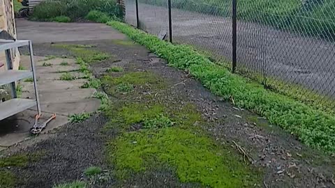 Builders making a ladder.