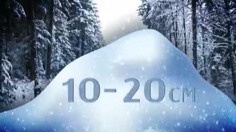 120 collisions reported as first major snowfall hits Ottawa