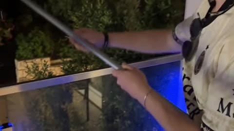 Fishing for a Curious Catch