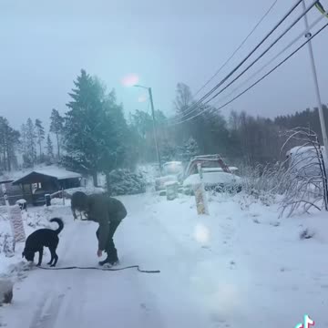 White Christmas ❄️❄️❄️ #fyp #explore #snow #christmas