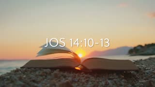HAS THE TRIBULATION BEGUN?