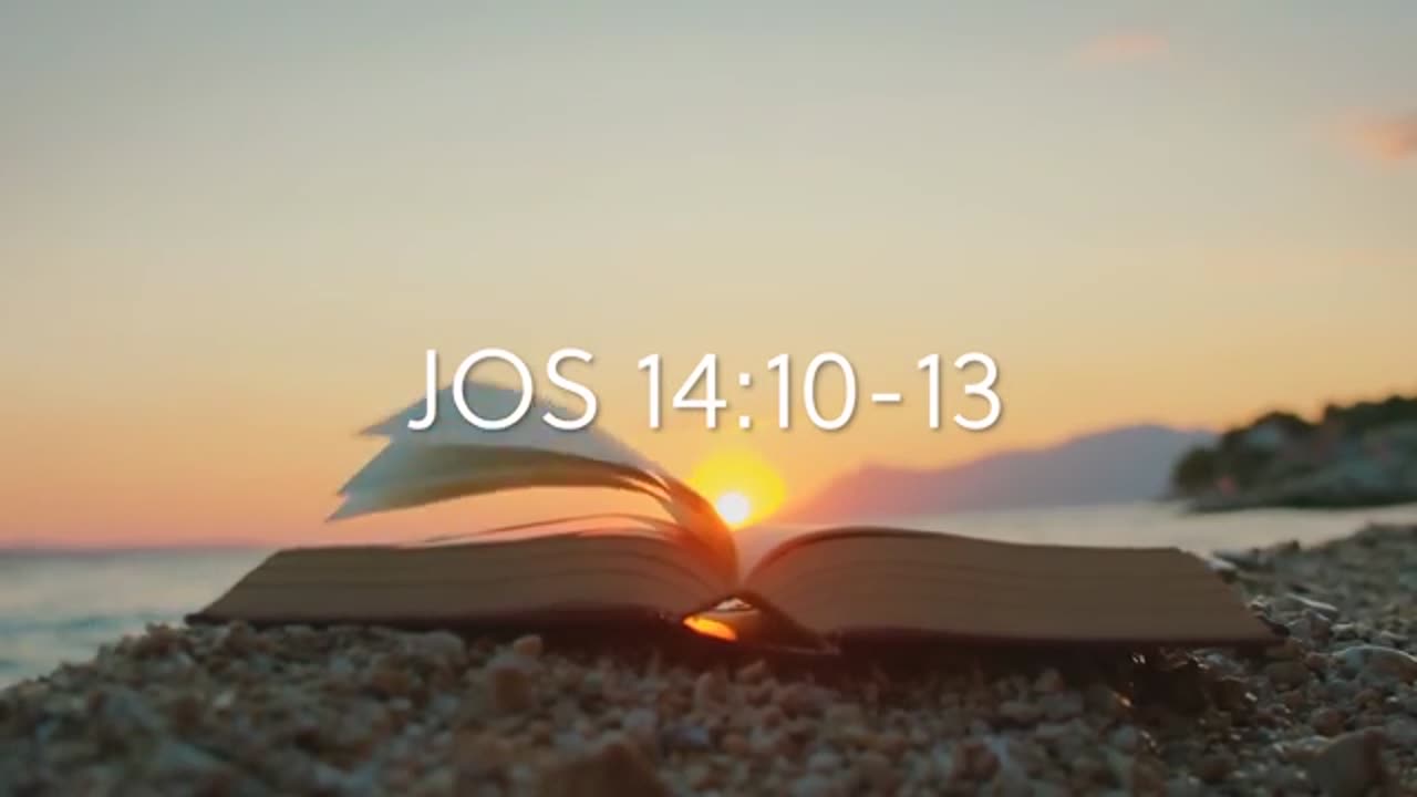 HAS THE TRIBULATION BEGUN?