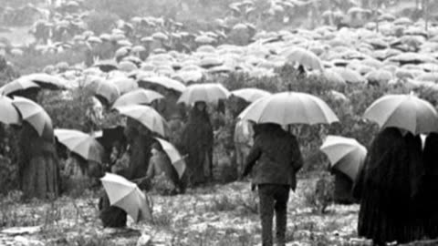 Fr Hewko, Miracle of the Sun at Fatima / Mass of Immaculate Heart 10/13/25 [Audio]