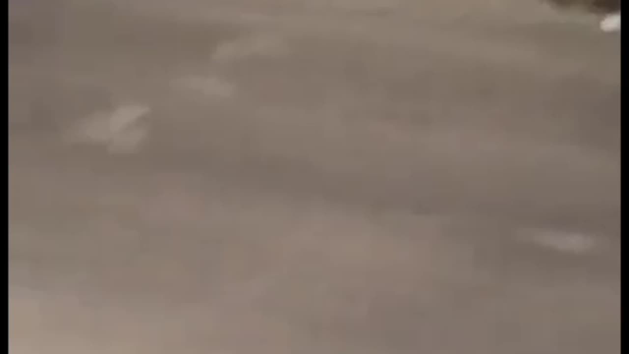 Common Sense Isn't Always a Priority South of the Border! 😂