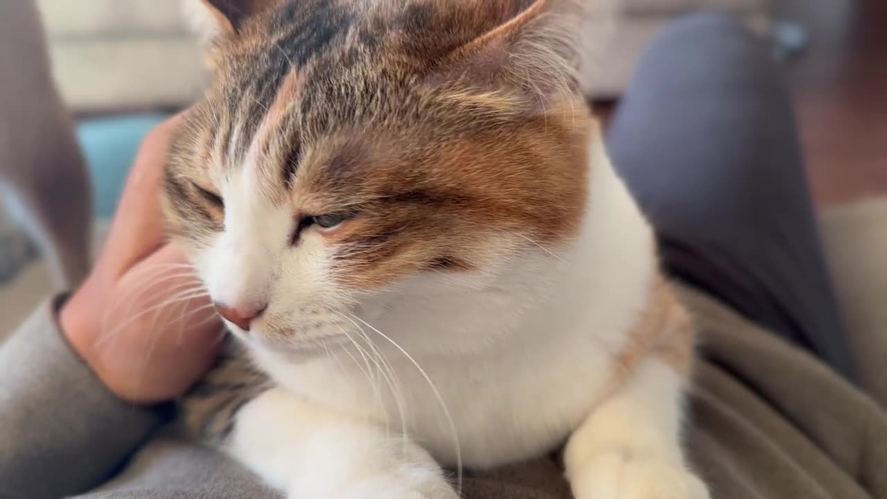 Touching her tiny head and she melts