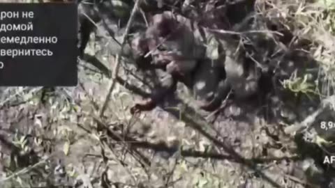 Ukraine war combat footage 10/7/25
