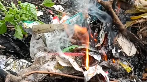 Bakar sampah